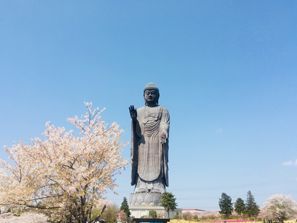 Mietauto Ushiku (Ibaraki), Japan